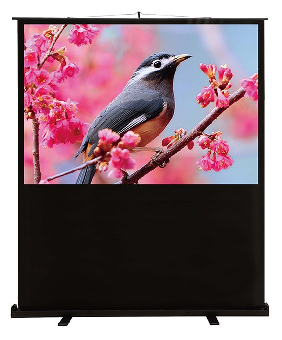 Экран;;Cactus;CS-PSFLCE-120X90 126428