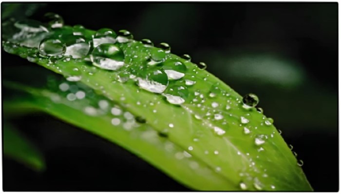 Панель;LCD;55';Dahua;DHI-LS550UDH-UG 126752