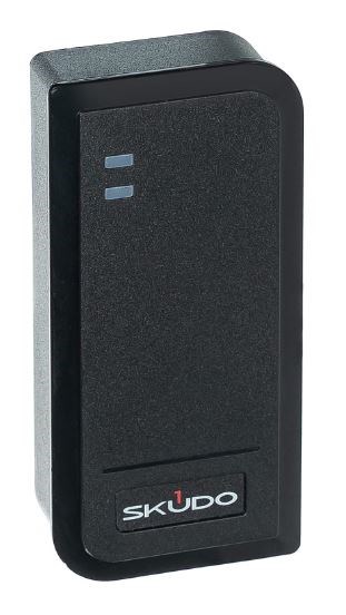 Контроллер  Skudo SK-CA2000P-E 132568