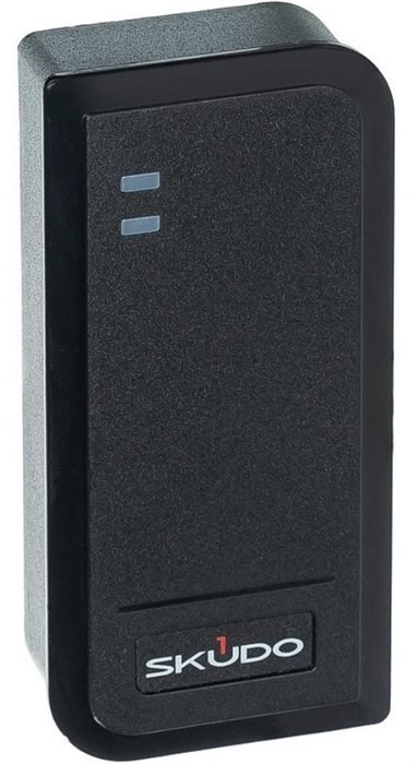 Контроллер доступа Skudo SK-CA1000P-EM 132649