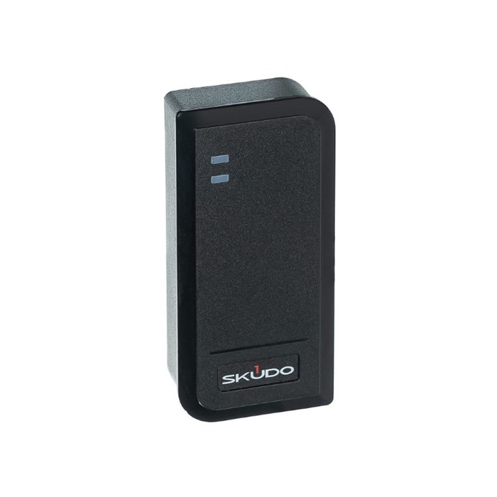 Считыватель  Skudo SK-RP300M 133526