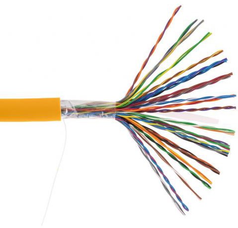 Кабель витая пара U/UTP 5e кат. 25 пар Netlan EC-UU025-5-LSZH-OR-3 138116