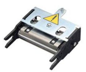 Печатающая головка  Evolis S10084 146079