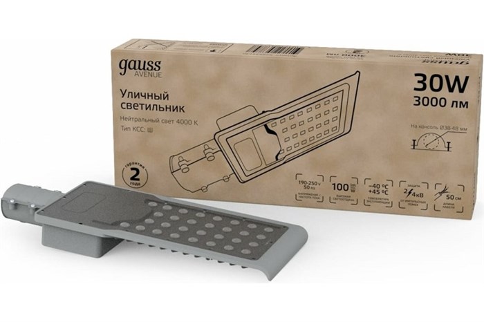 Светильник уличный Gauss 629534230 152970