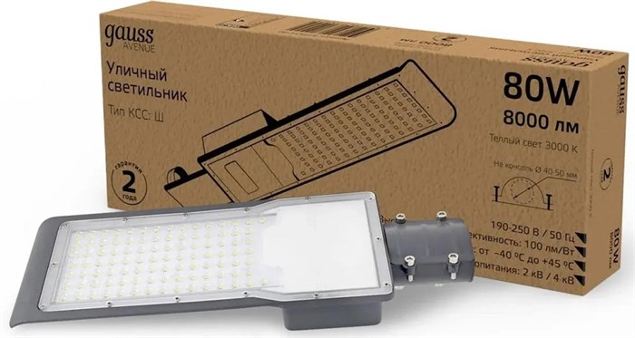 Светильник  Gauss 629534180 153158