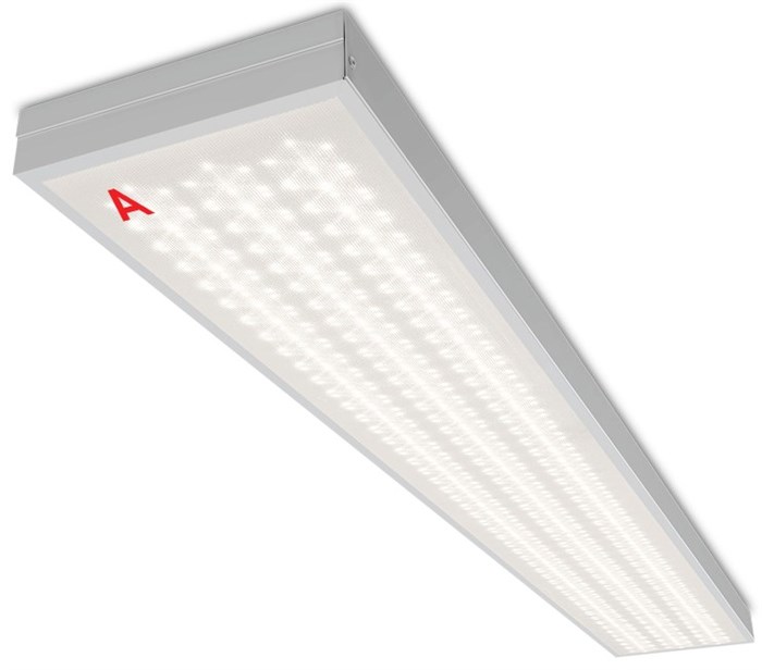 Светильник светодиодный WOLTA ДПО13-54-142-4К 153930