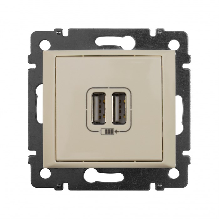 Зарядное устройство  Legrand 774170 157089