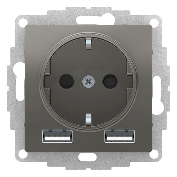 Розетка с заземлением с 2 USB  Systeme Electric ATN000930 157232