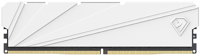 Модуль;памяти;DDR4;16GB;Netac;NTSSD4P32SP-16W 107801