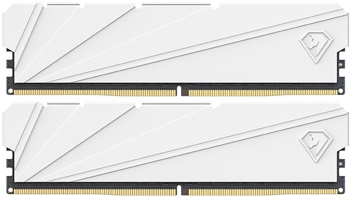 DDR4;32GB;(2*16GB);Netac;NTSSD4P32DP-32W 108038