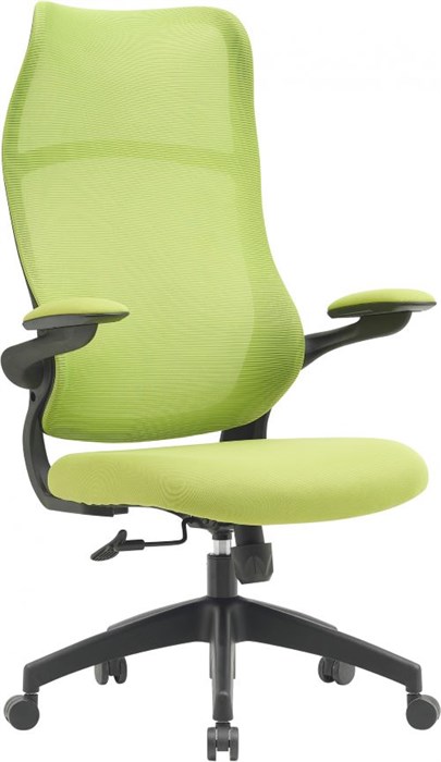 Кресло;;Cactus;CS-MC505-GN 119147