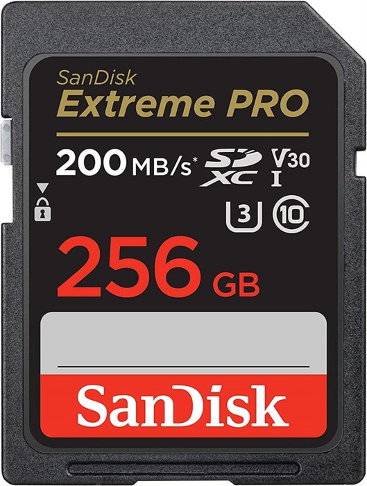 Карта;памяти;SDXC;256Gb;SanDisk;SDSDXXD-256G-GN4IN 122078