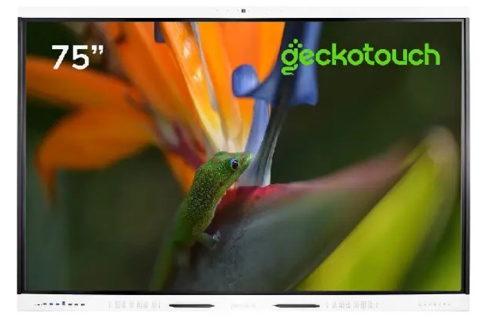 Интерактивный;комплекс;;Geckotouch;75RK 125758