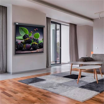 {{photo.Alt || photo.Description || 'Экран;;Cactus;CS-PSW-127X127-SG'}}