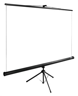 {{photo.Alt || photo.Description || 'Экран;;Cactus;CS-PSTE-160X160-BK'}}