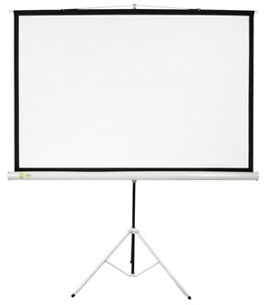 {{photo.Alt || photo.Description || 'Экран;;Cactus;CS-PST-180X180'}}