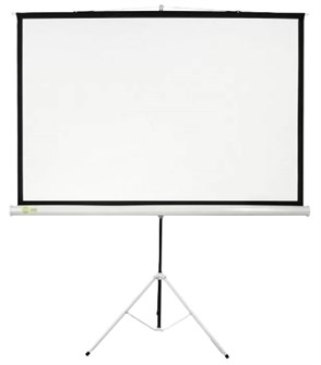 {{photo.Alt || photo.Description || 'Экран;;Cactus;CS-PST-124X221'}}