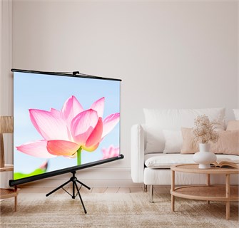 {{photo.Alt || photo.Description || 'Экран;;Cactus;CS-PST-104X186'}}