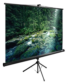 {{photo.Alt || photo.Description || 'Экран;;Cactus;CS-PSTE-220X165-BK'}}