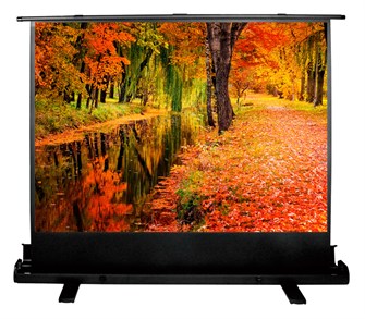 {{photo.Alt || photo.Description || 'Экран;;Cactus;CS-PSFLE-200X150'}}