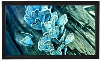 Экран;;Viewscreen;Omega;OMG-16904 126615