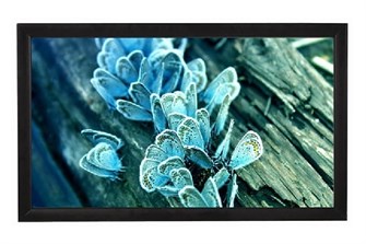 Экран;;Viewscreen;Omega;OMG-16105 126641