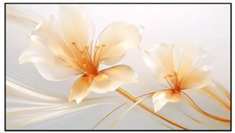 Экран;;XGIMI;100