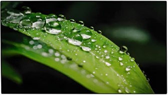 {{photo.Alt || photo.Description || 'Панель;LCD;55';Dahua;DHI-LS550UEM-UG'}}