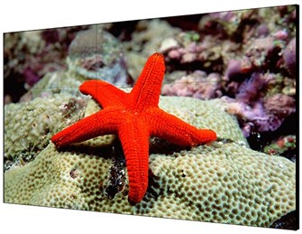 {{photo.Alt || photo.Description || 'Панель;LCD;55';HIKVISION;DS-D2055LR-G'}}