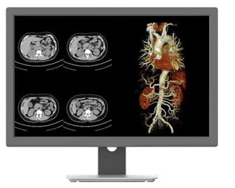 {{photo.Alt || photo.Description || 'Монитор;24";Jusha;JUSHA-CR240G'}}