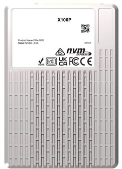 Накопитель SSD U.3 Phison X100P 130116