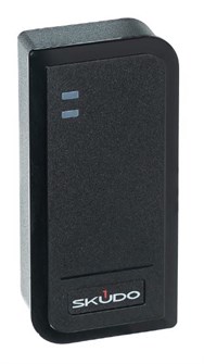 {{photo.Alt || photo.Description || 'Контроллер  Skudo SK-CA2000P-E'}}