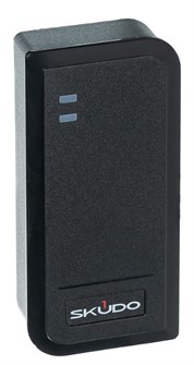 {{photo.Alt || photo.Description || 'Считыватель  Skudo SK-RP300EHM'}}