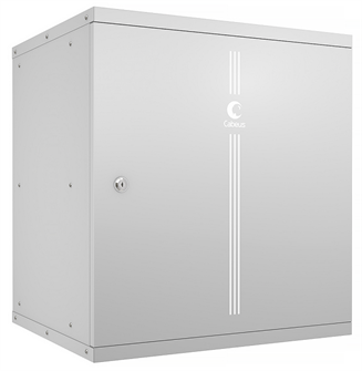 {{photo.Alt || photo.Description || 'Шкаф настенный 19", 12U Cabeus WSC-05D-12U55/45m'}}