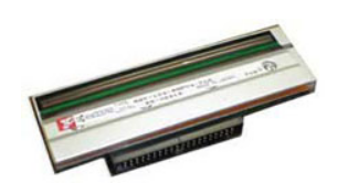 Печатающая головка  Zebra P1058930-009 146030