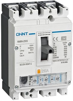 Автоматический выключатель в литом корпусе  CHINT 273034 150445