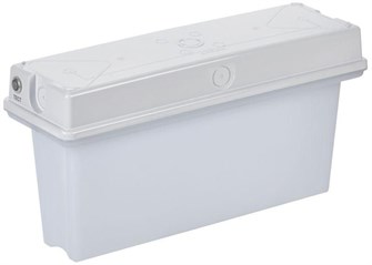 Светильник аварийного освещения IEK LSSA0-1010-1-65-K01 153191