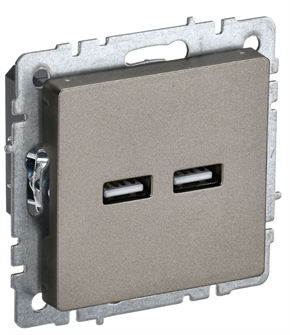 {{photo.Alt || photo.Description || 'Розетка USB  IEK BR-U21-D31-K37'}}