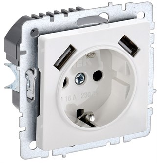 Розетка  IEK BR-R14-16-U21-D21-K01 157064