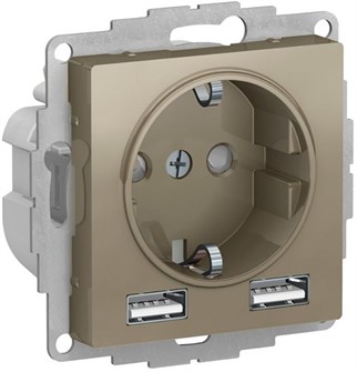 Розетка с заземлением с 2 USB  Systeme Electric ATN000530 157227