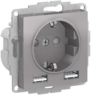 Розетка с заземлением с 2 USB  Systeme Electric ATN000330 157228