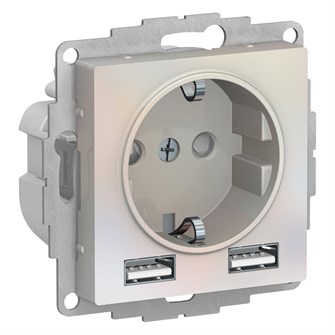 Розетка с заземлением с 2 USB  Systeme Electric ATN000430 157229