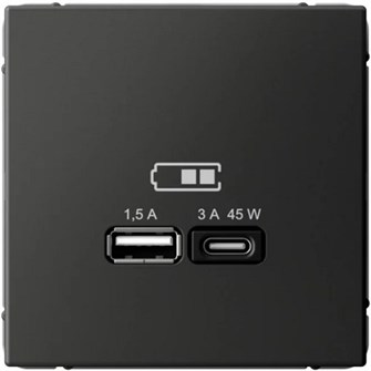 Розетка USB  Systeme Electric GAL001429 157248