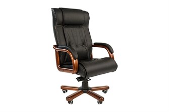 {{photo.Alt || photo.Description || 'Кресло;офисное;Chairman;653'}}