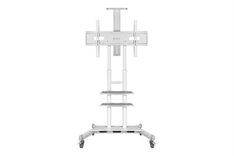 {{photo.Alt || photo.Description || 'Стойка;мобильная;ONKRON;TS1881;WHITE'}}