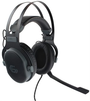 {{photo.Alt || photo.Description || 'Гарнитура;;Gembird;MHS-G700U'}}