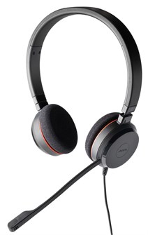 {{photo.Alt || photo.Description || 'Гарнитура;проводная;Jabra;Evolve;20;MS;Duo'}}