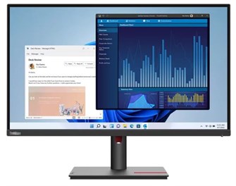 {{photo.Alt || photo.Description || 'Монитор;27";Lenovo;ThinkVision;T27p-30'}}