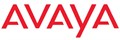 Кабель питания  Avaya 700501551 144688
