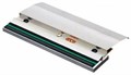 Печатающая головка  TSC PH-ML240-0003 145963